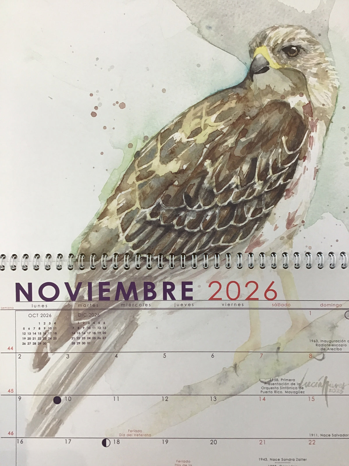Calendario de aves endémicas y comunes de Puerto Rico 2026