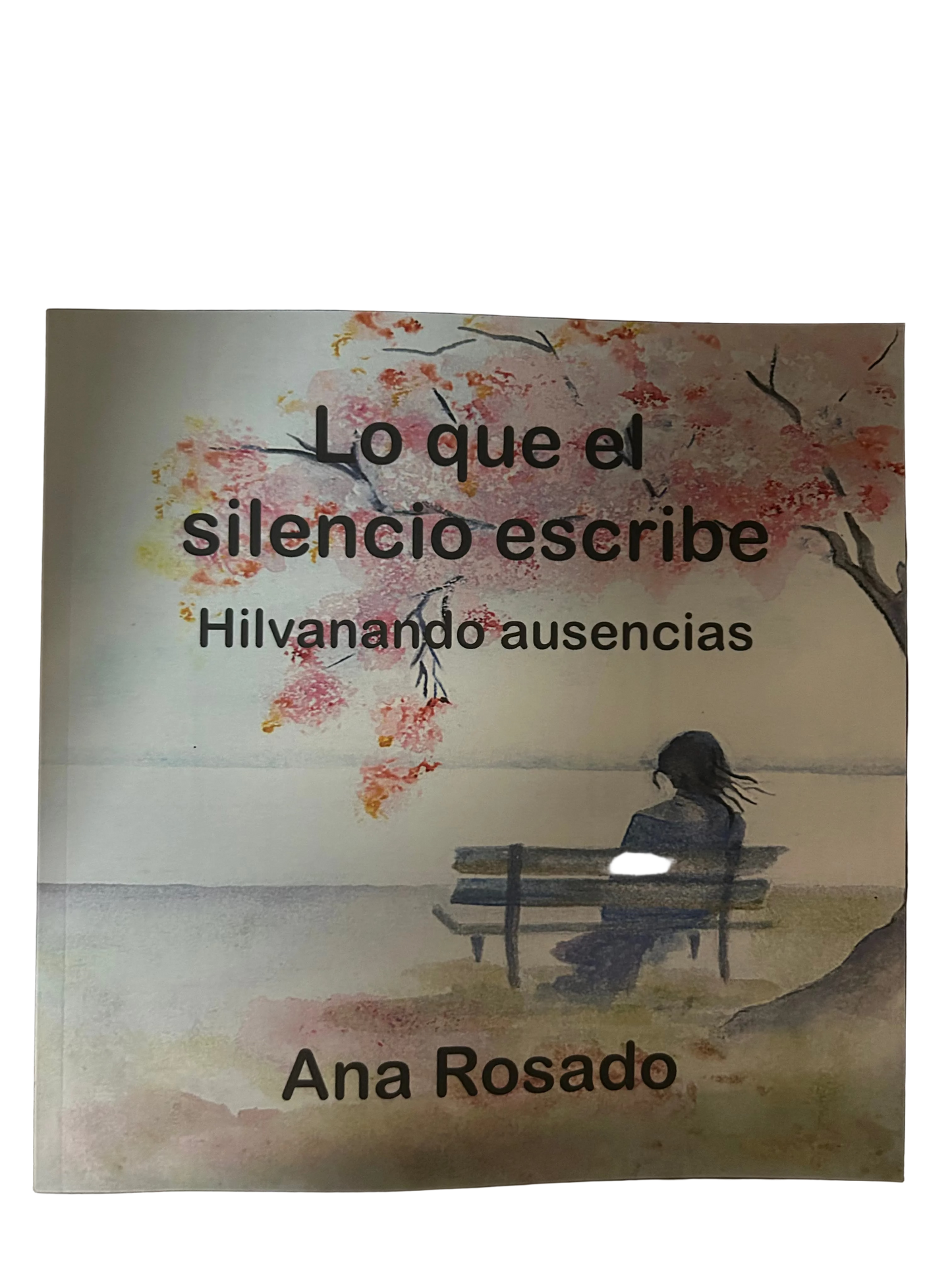 Lo que el silencio escribe