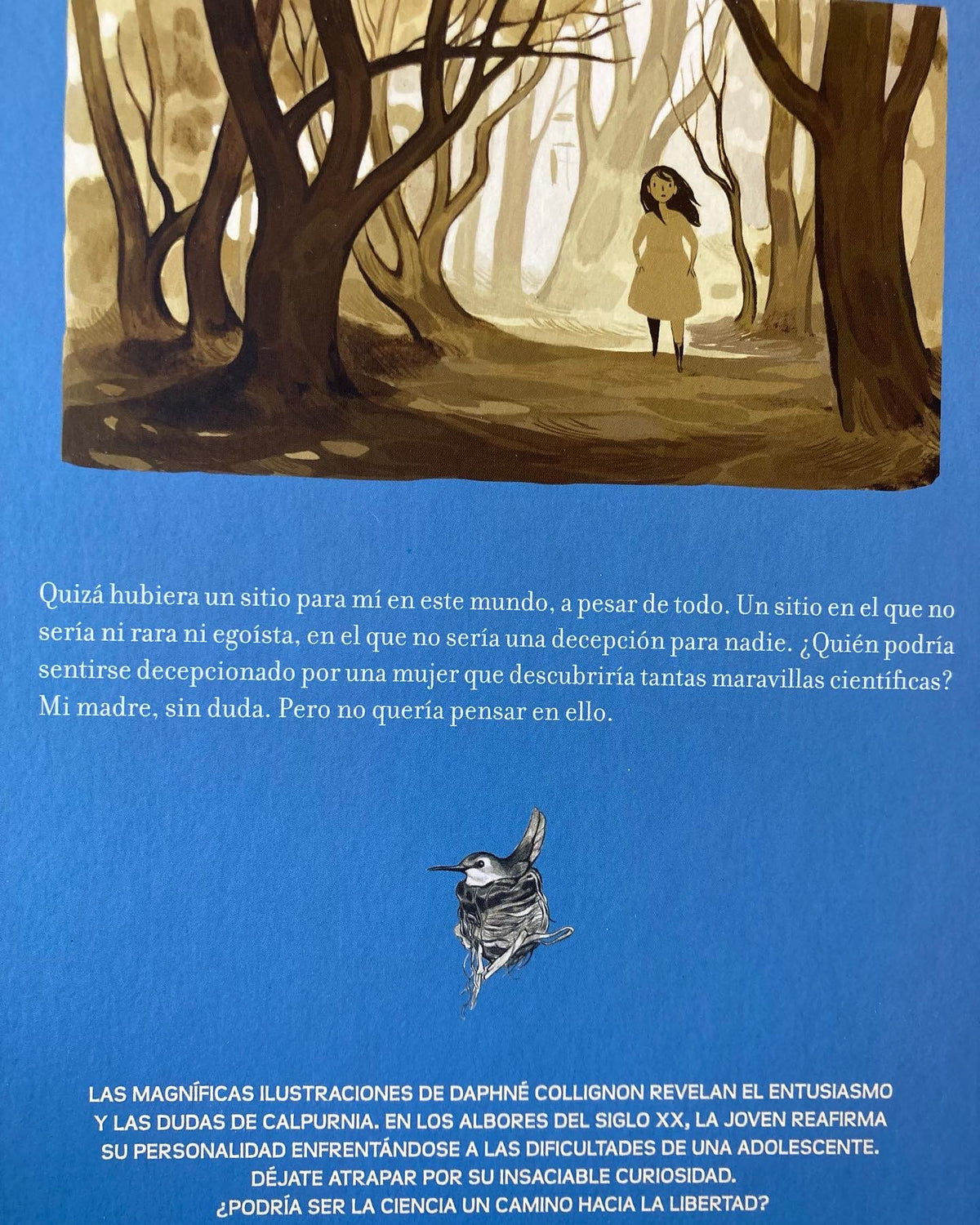 CALPURNIA Tomo 2