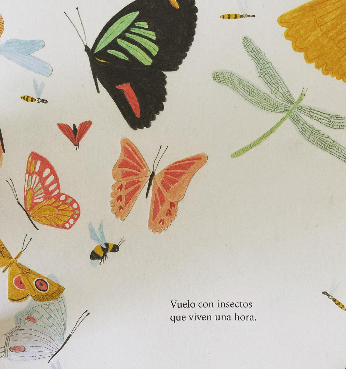SOY LA VIDA