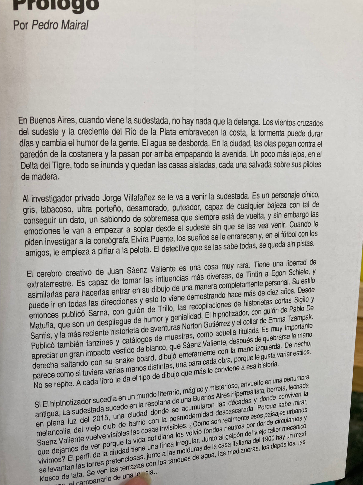LA SUDESTADA