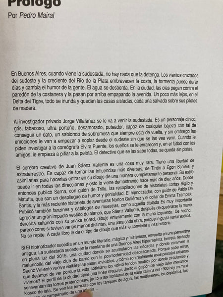 LA SUDESTADA