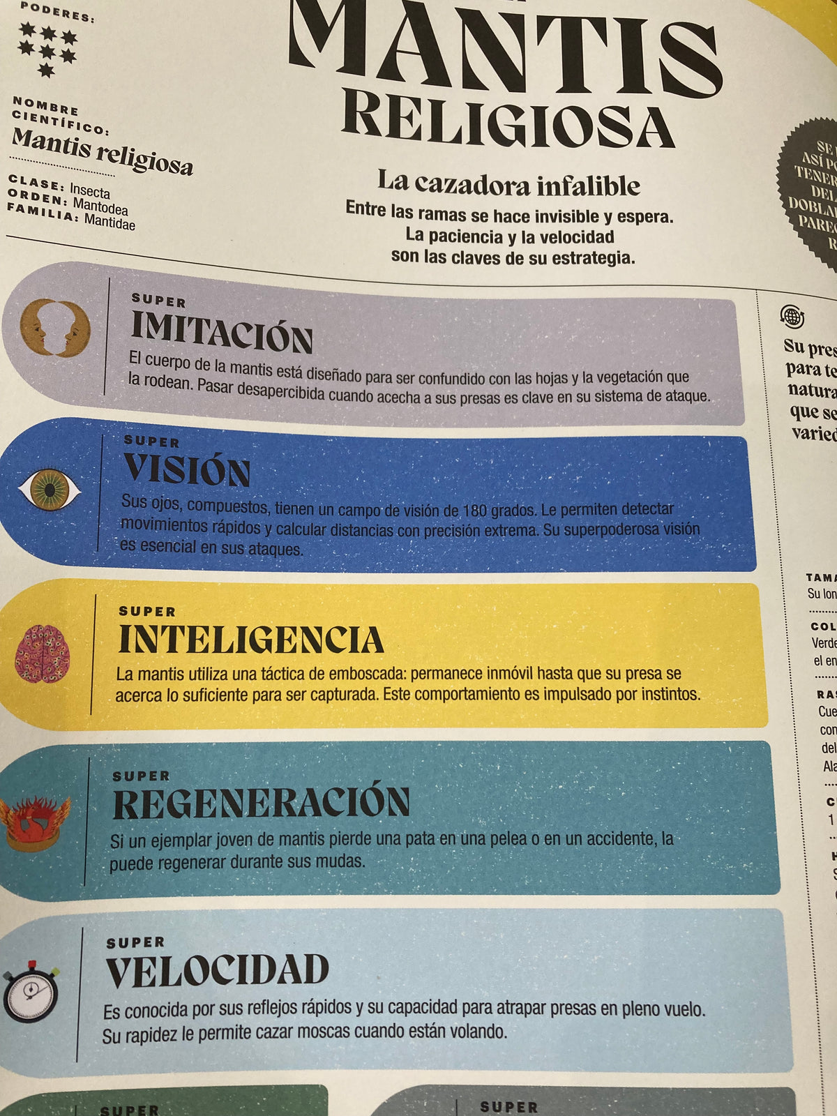 Superpoderes de los insectos