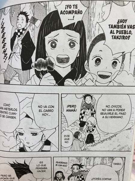 DEMON SLAYER: Kimetsu no yaiba 1