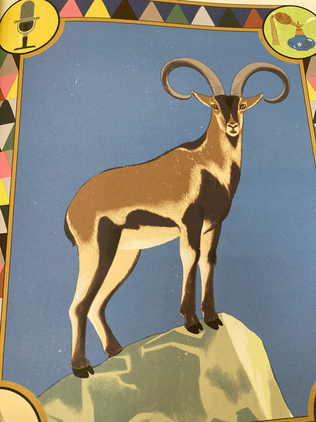 SUPERPODERES ANIMALES