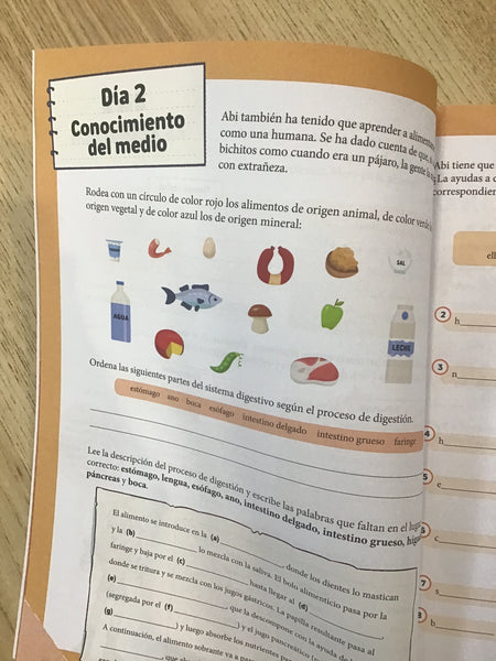 Magic Animals. Cuaderno de vacaciones. 3º de Primaria
