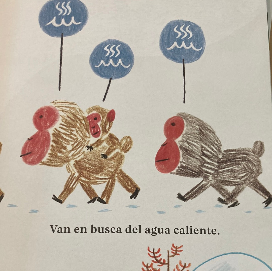 ONSEN. ¿Qué hacen los monos?
