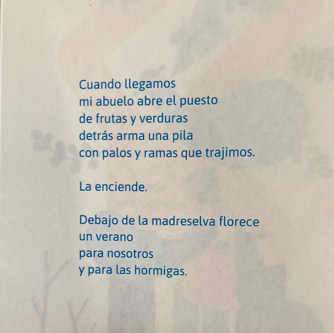 JARDÍN DEL AIRE
