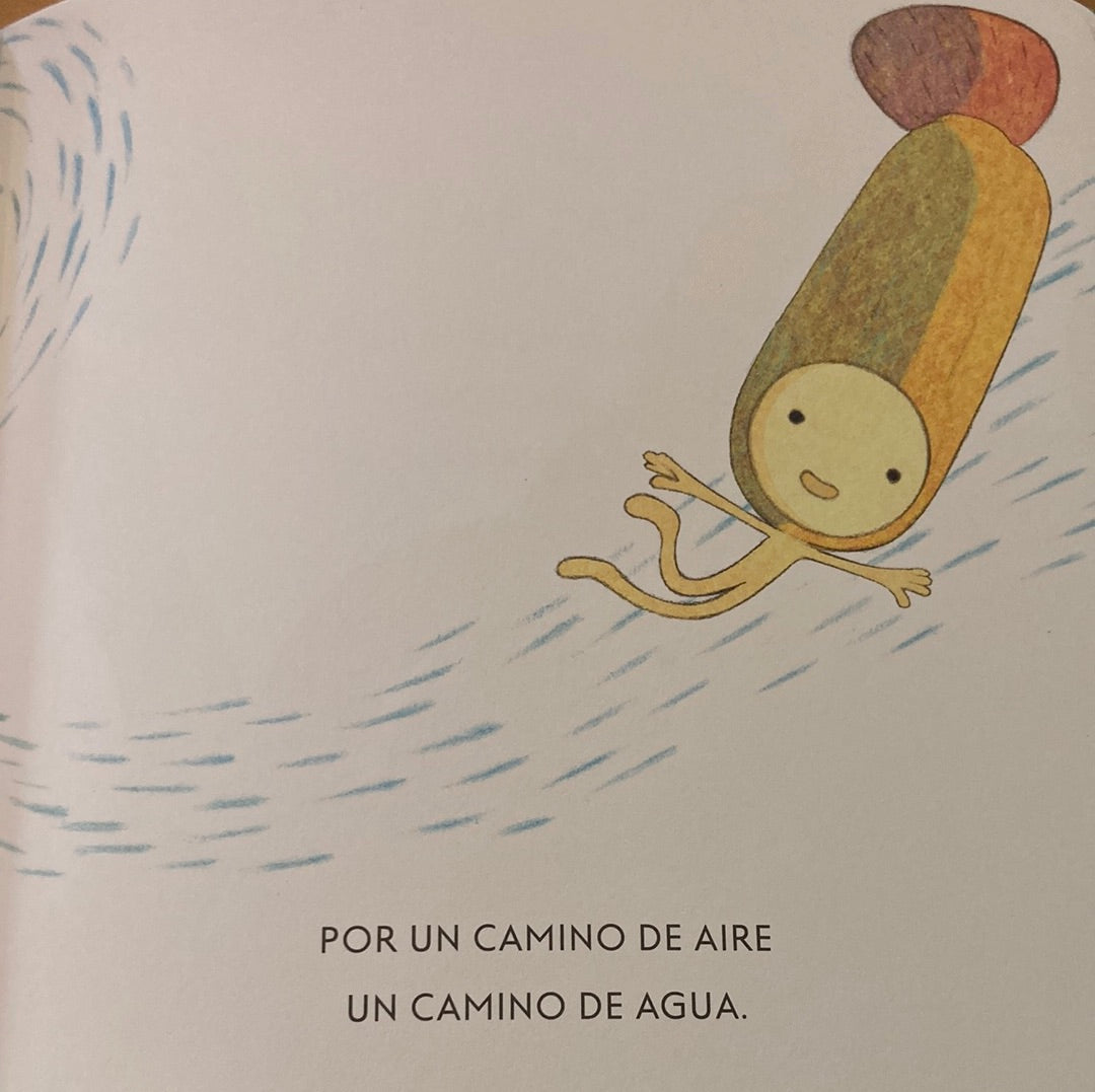 ZUM ZUM. El viaje de la semilla