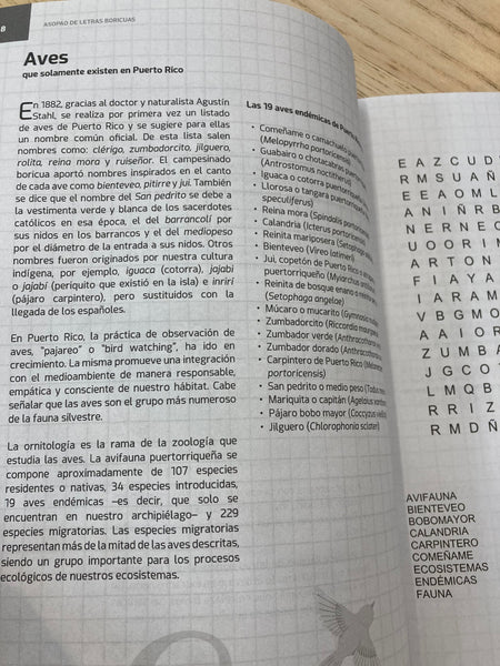 Asopao de Letras Boricuas