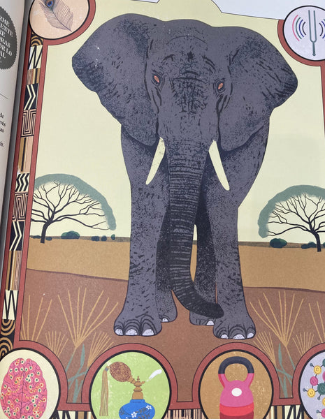 SUPERPODERES ANIMALES