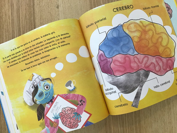 EL CEREBRO, MUCHO MÁS QUE COMIDA PARA ZOMBIS