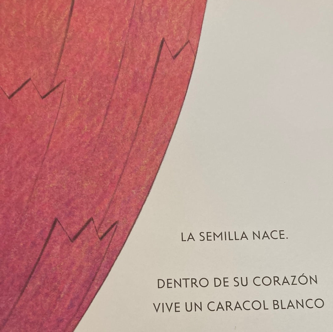 ZUM ZUM. El viaje de la semilla