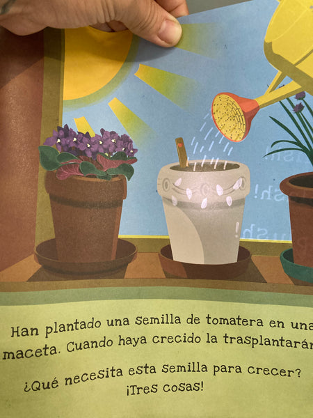 EL HUERTO. Un libro para iluminar