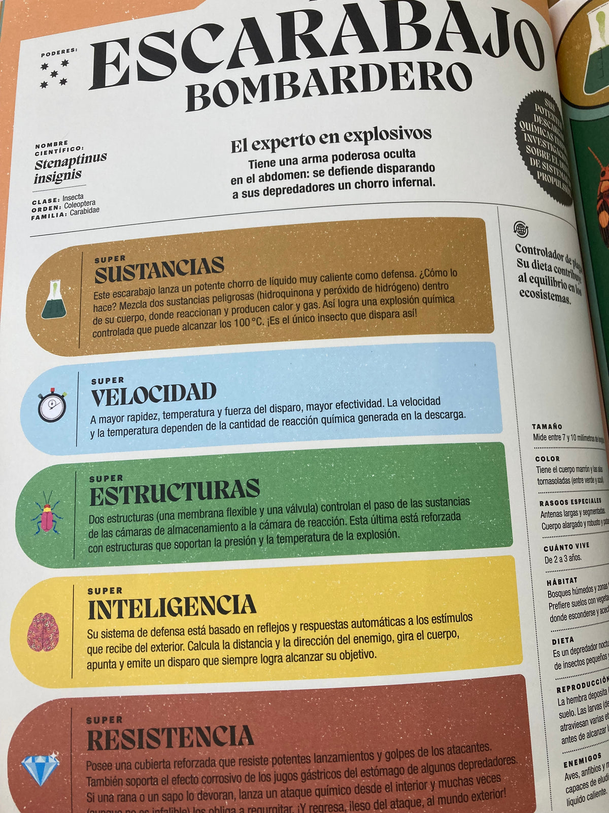 Superpoderes de los insectos