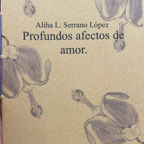 Profundos afectos del amor