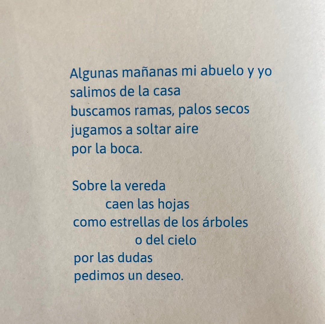 JARDÍN DEL AIRE