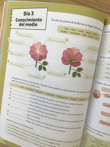 Cuaderno de vacaciones Magic Animals 4.0 de primaria