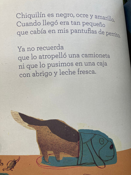 PANTUFLAS DE PERRITO