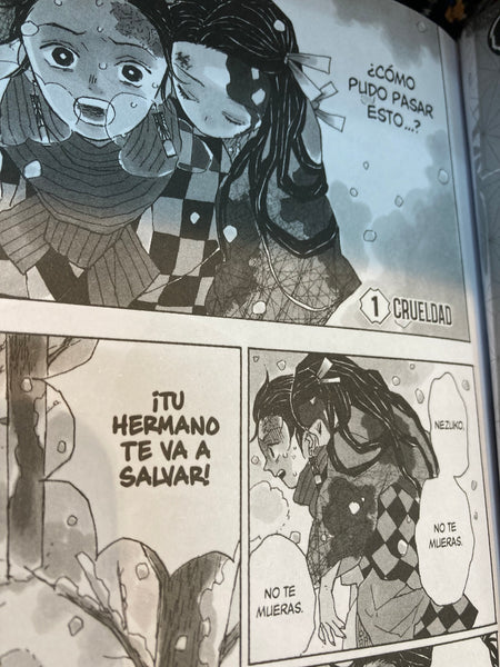 DEMON SLAYER: Kimetsu no yaiba 1