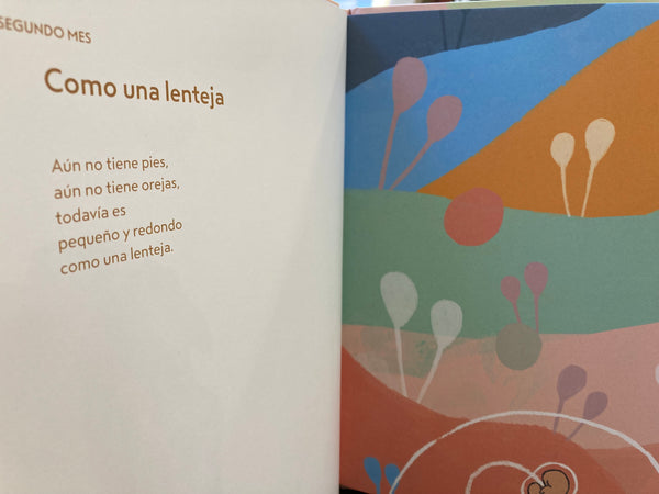 ¿QUÉ PASÓ EN AQUELLOS NUEVE MESES?
