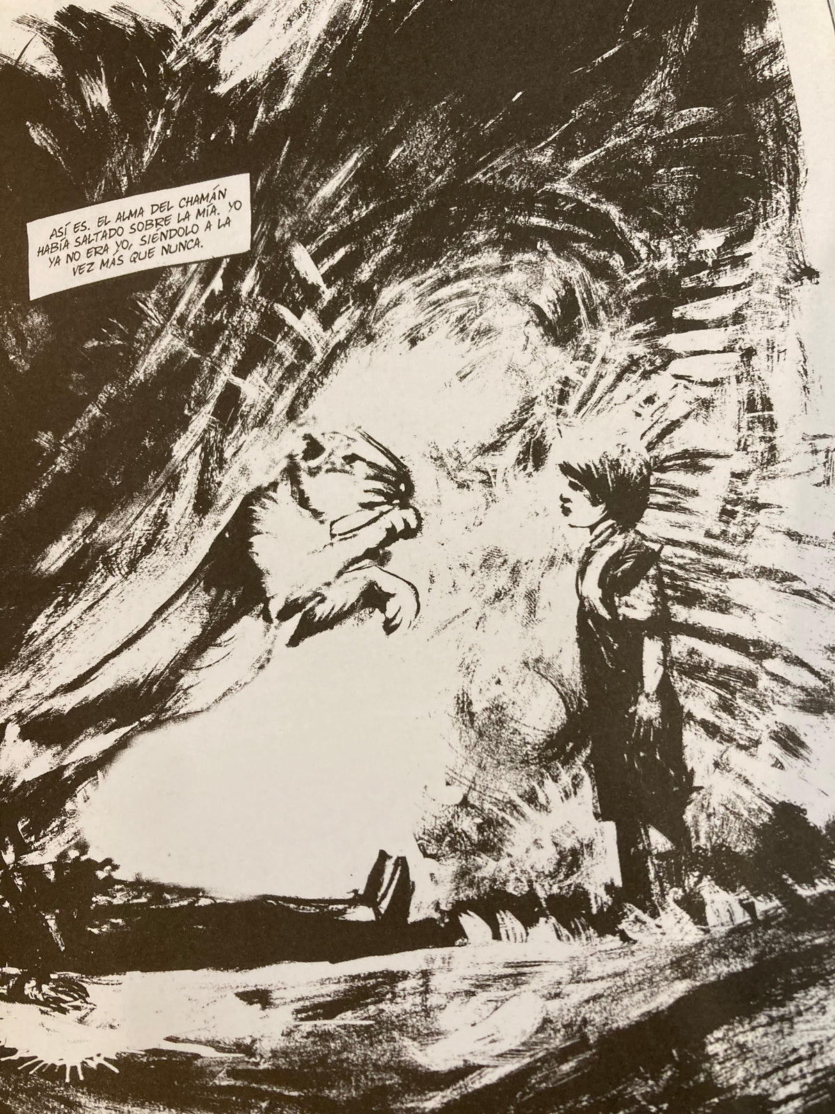 JIM MORRISON. El poeta del caos