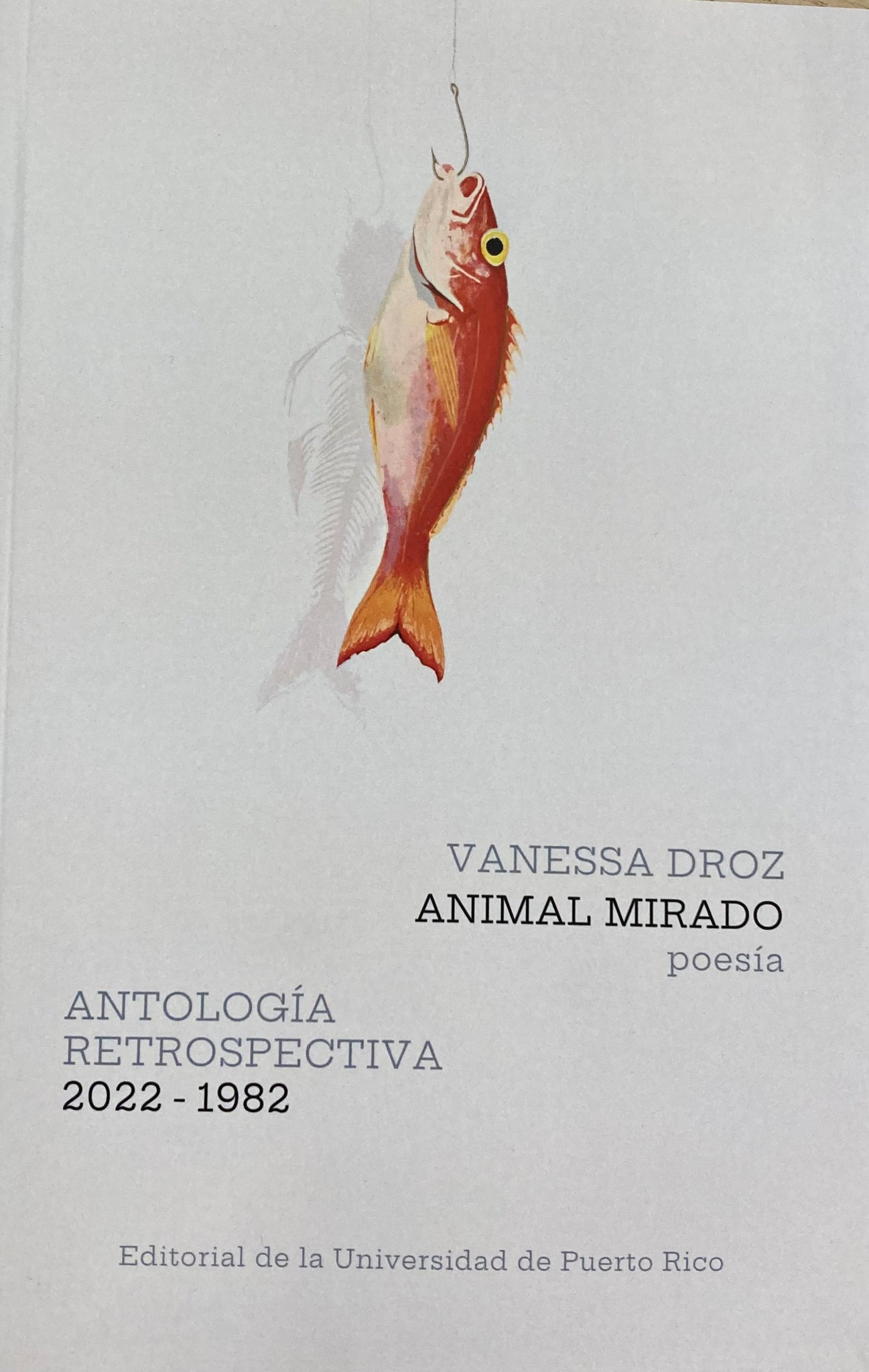 Animal Mirado