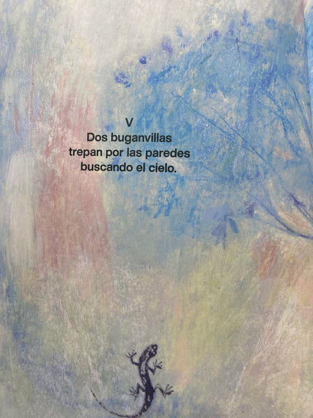 Haikus para detener un tren