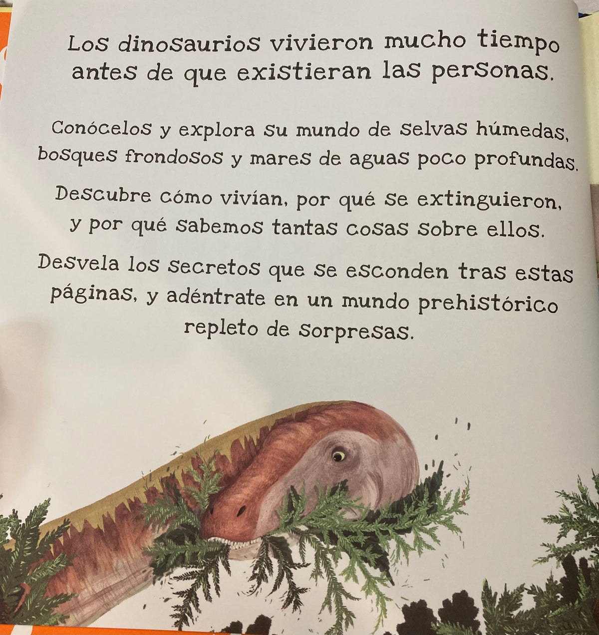 DINOSAURIOS. Un libro para iluminar