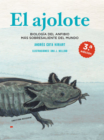 El ajolote