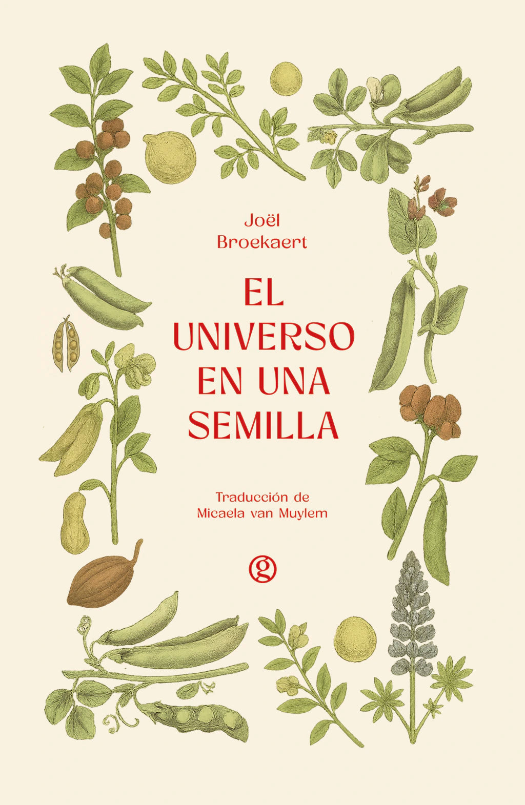 El universo es una semilla