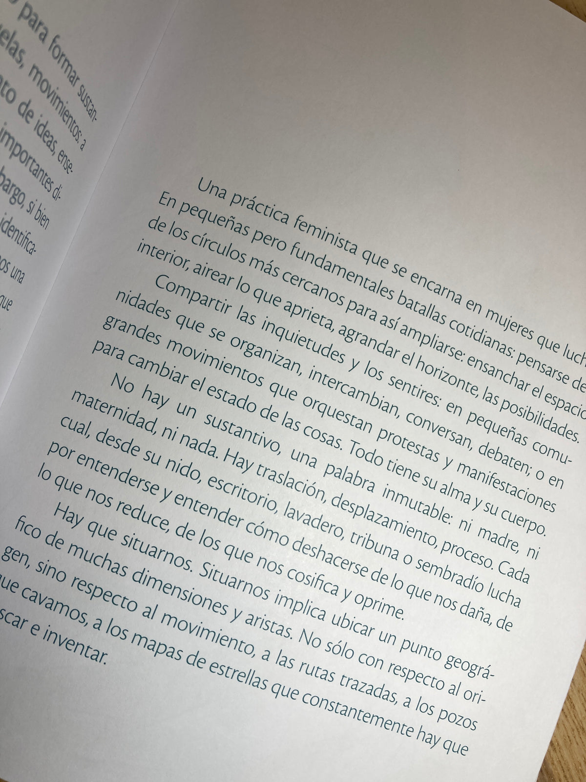 Antimanual de maternidad