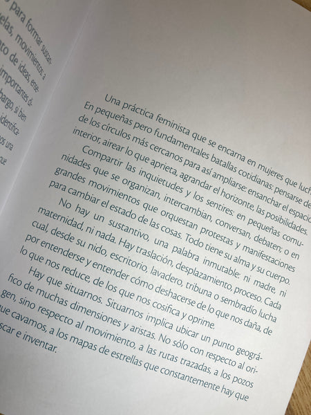 Antimanual de maternidad