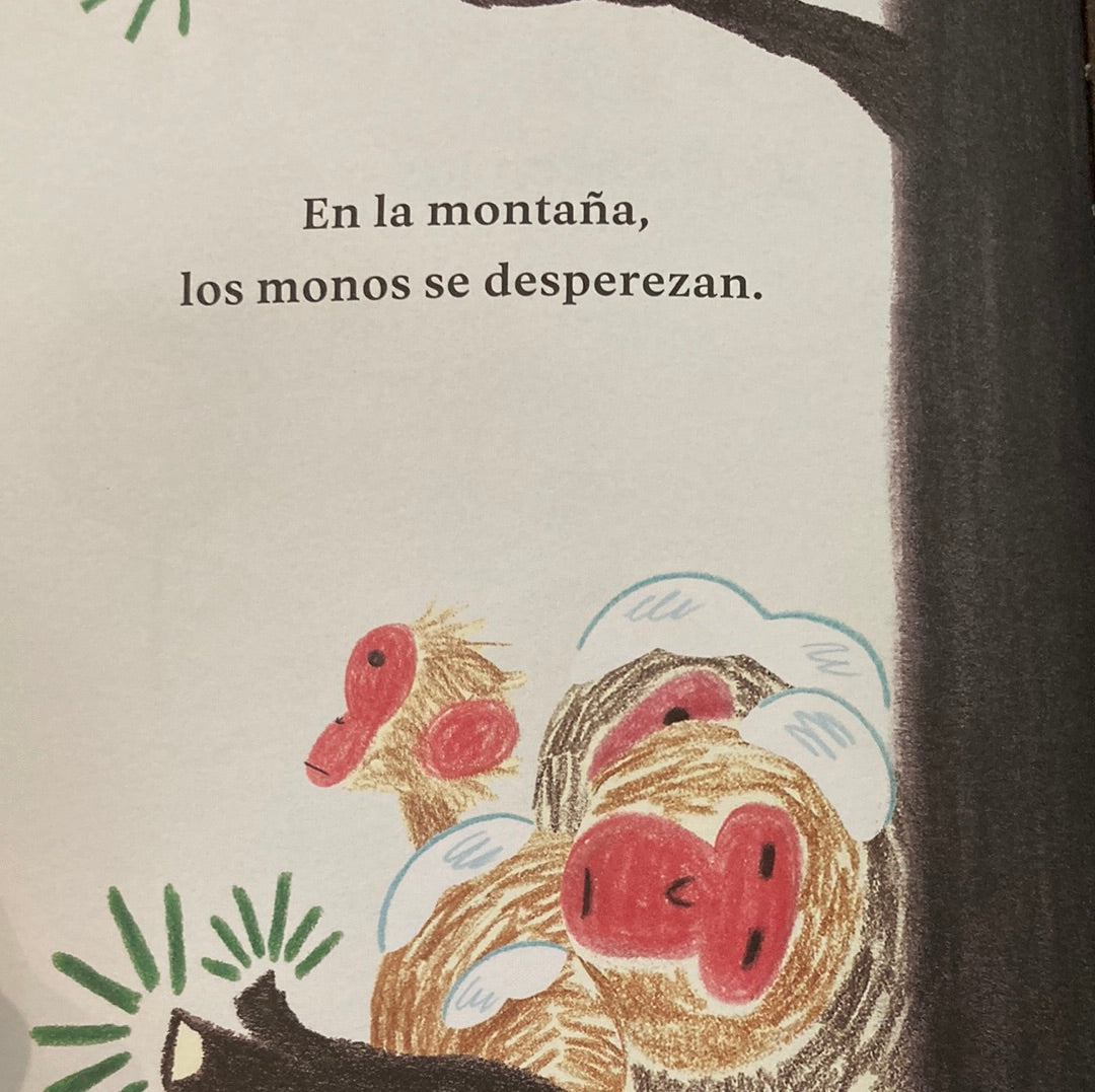 ONSEN. ¿Qué hacen los monos?