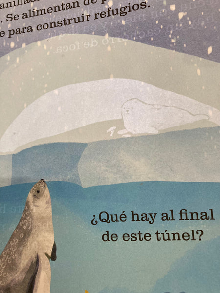 OCÉANOS. Un libro para iluminar