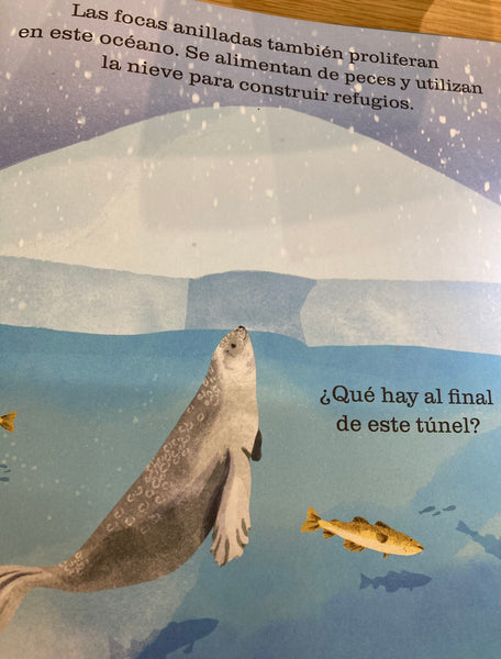 OCÉANOS. Un libro para iluminar