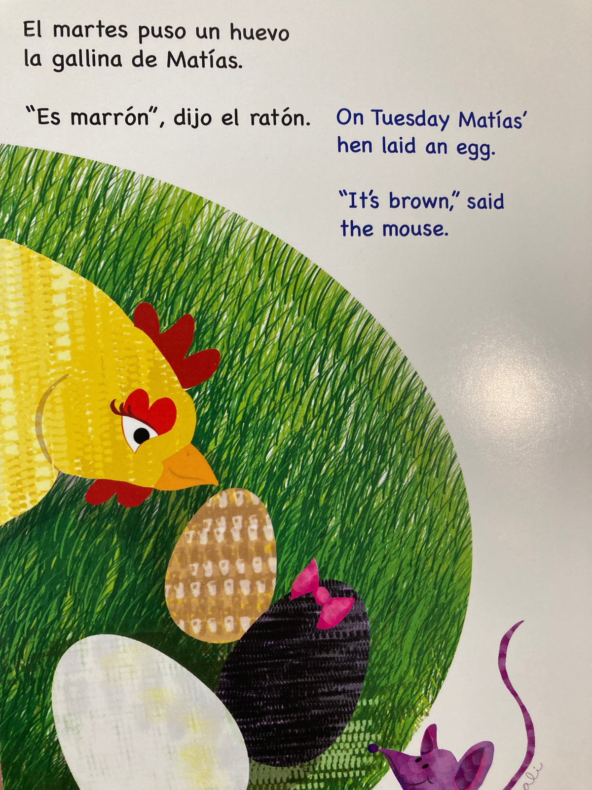 La Gallina de Matías