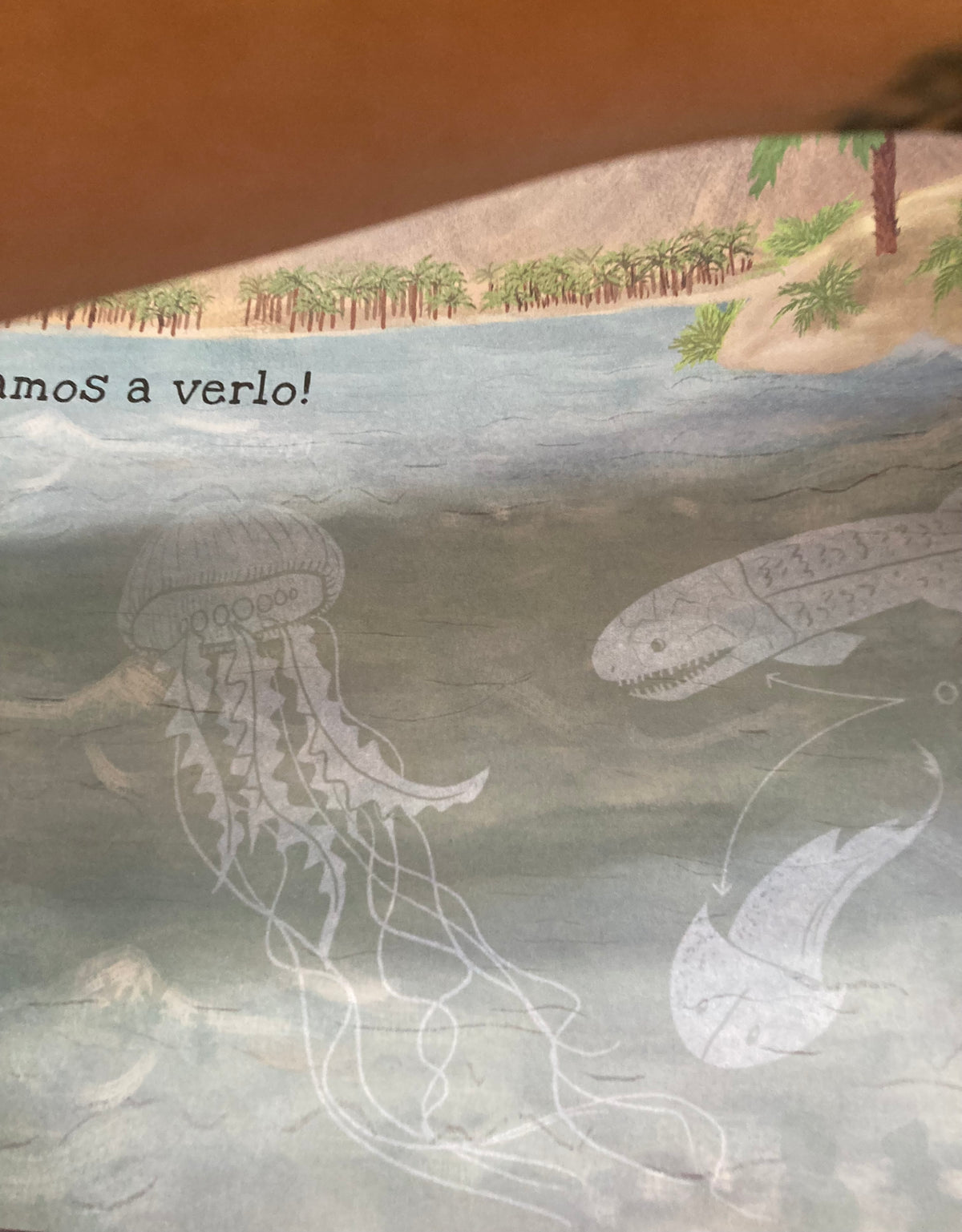 DINOSAURIOS. Un libro para iluminar