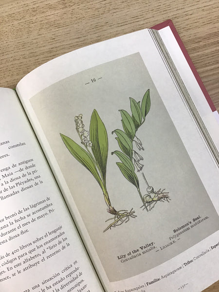 Álbum de plantas prohibidas
