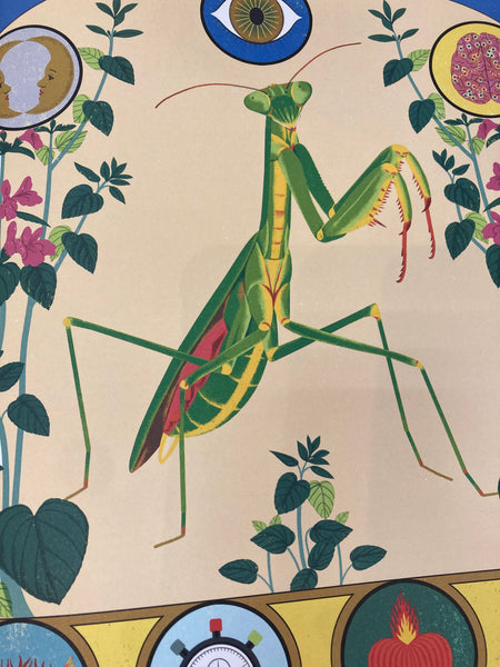 Superpoderes de los insectos