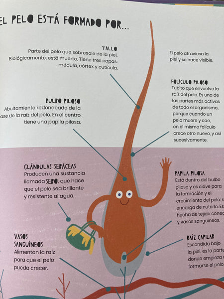 LA VIDA SECRETA DE LOS PELOS