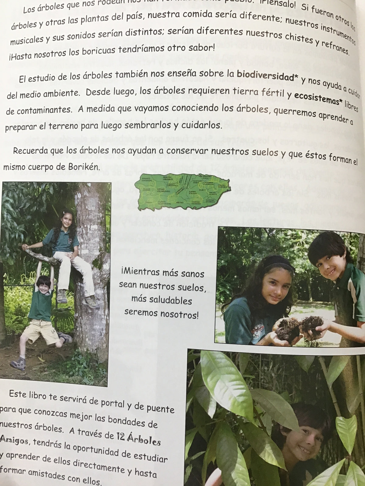12 árboles amigos