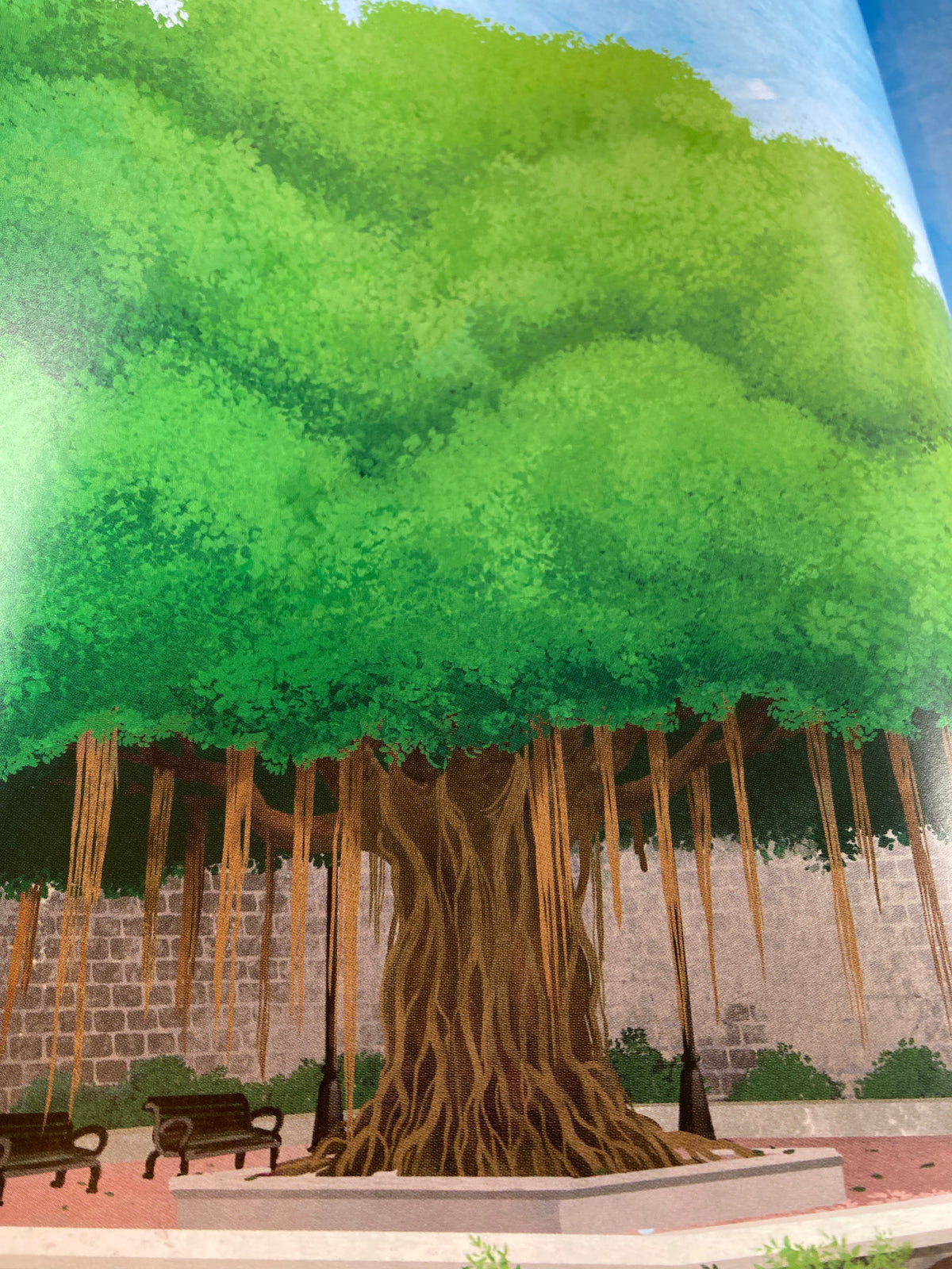 THE TREE OF HOPE
