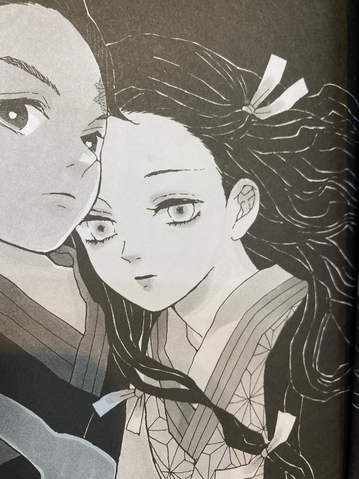 DEMON SLAYER: Kimetsu no yaiba 1