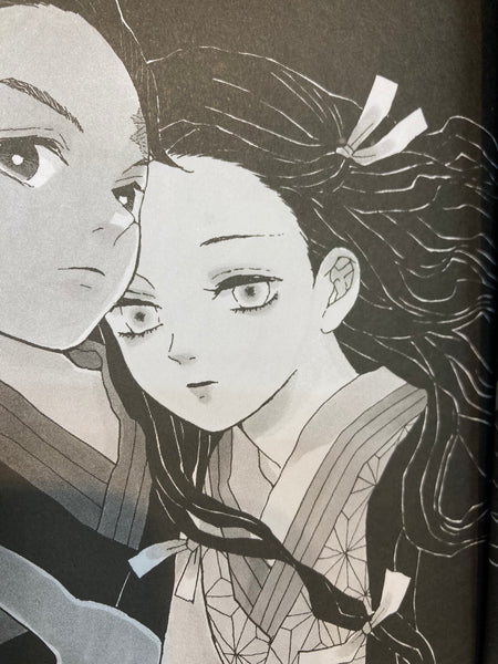 DEMON SLAYER: Kimetsu no yaiba 1