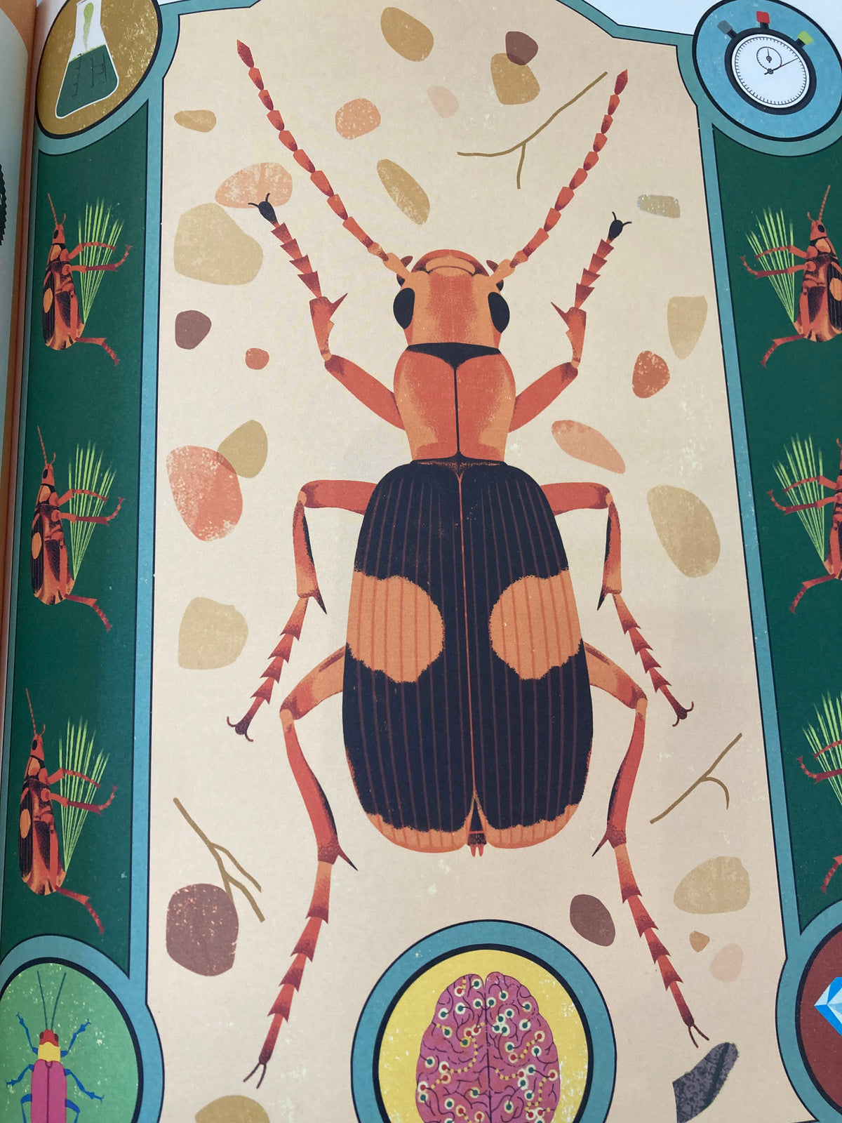 Superpoderes de los insectos