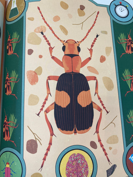Superpoderes de los insectos