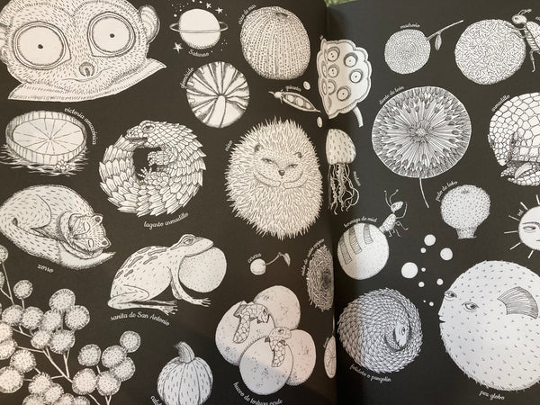 LAS MIL Y UNA FORMAS DE LA NATURALEZA