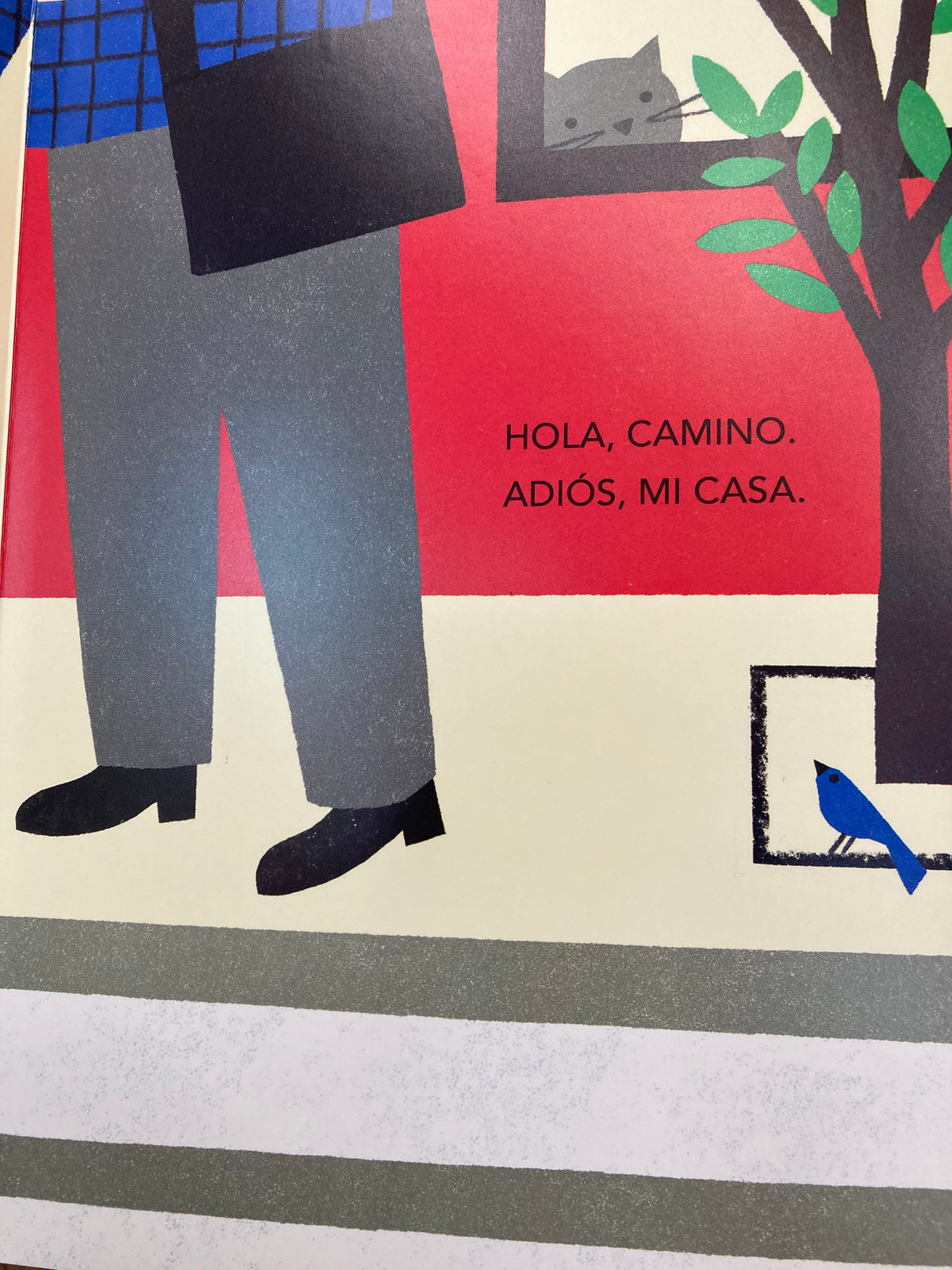 Hola mi Cole
