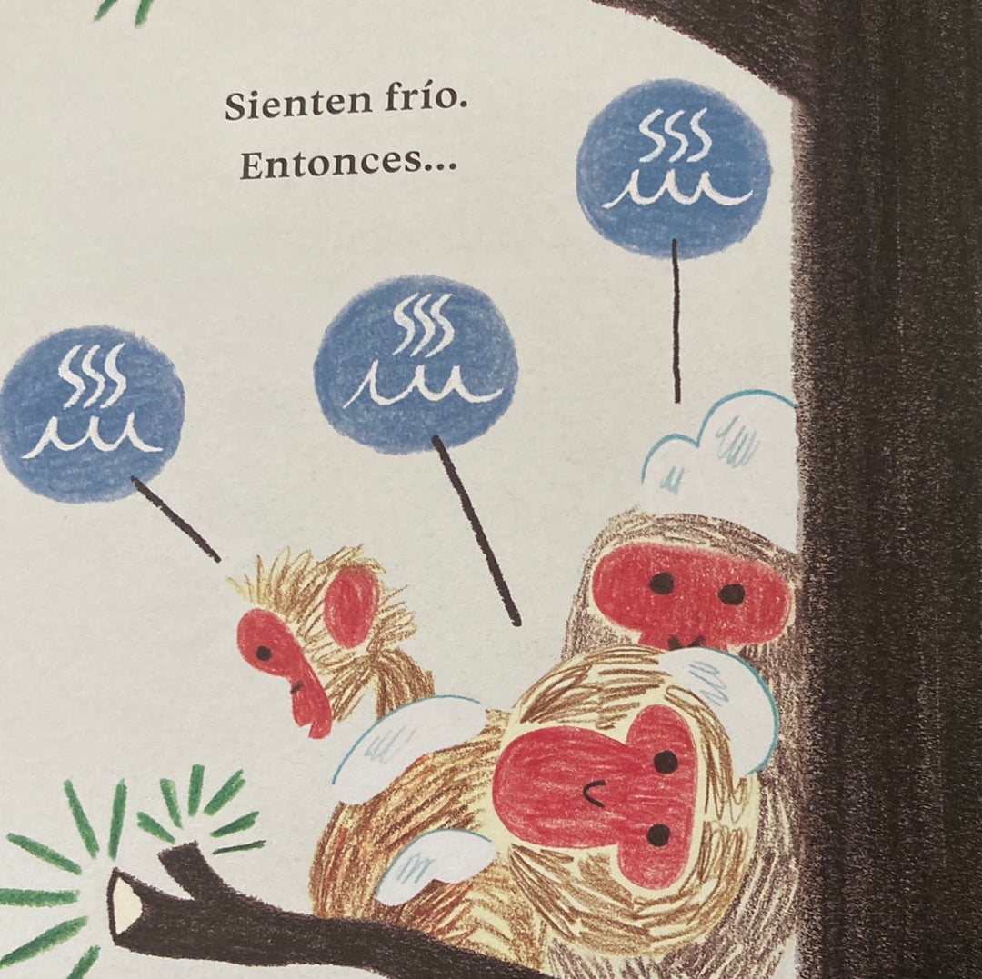 ONSEN. ¿Qué hacen los monos?